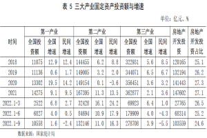 民间投资增速逐月放缓的原因及软件和信息技术服务业的投资与管理分析